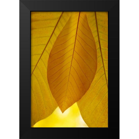 Golden Leafs I Black Modern Wood Framed Art Print by Geyman, Vitaly
