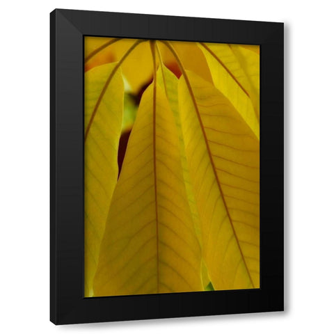 Golden Leafs II Black Modern Wood Framed Art Print by Geyman, Vitaly