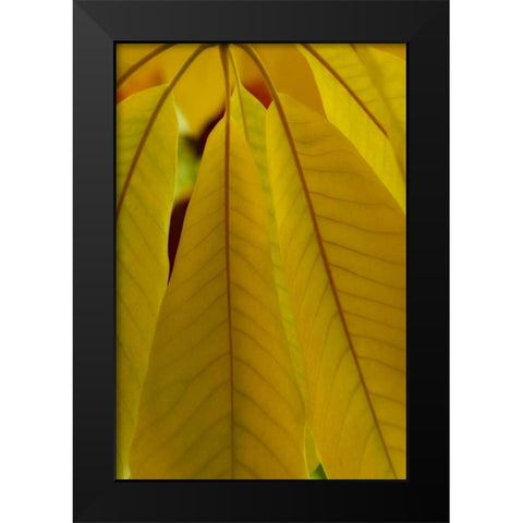 Golden Leafs II Black Modern Wood Framed Art Print by Geyman, Vitaly