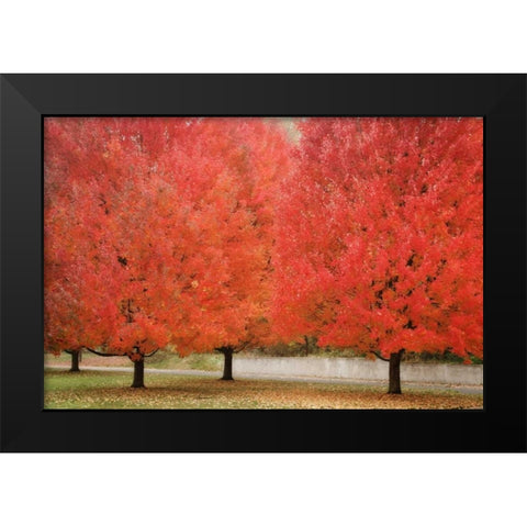 Fall Beauty II Black Modern Wood Framed Art Print by Geyman, Vitaly