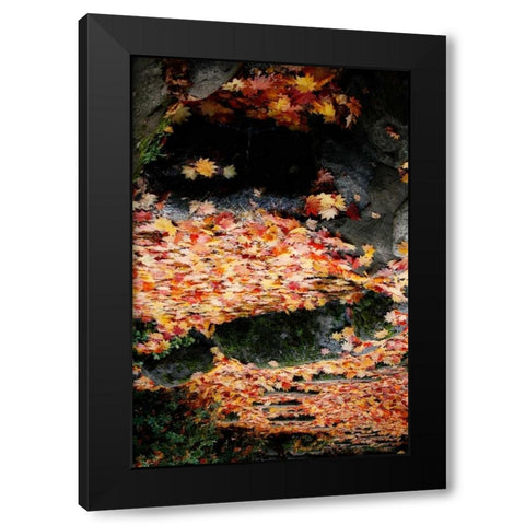 Fall Mandala I Black Modern Wood Framed Art Print by Geyman, Vitaly