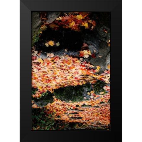 Fall Mandala I Black Modern Wood Framed Art Print by Geyman, Vitaly