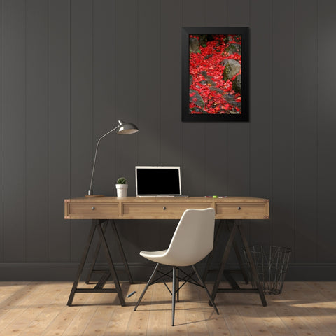 Fall Mandala II Black Modern Wood Framed Art Print by Geyman, Vitaly
