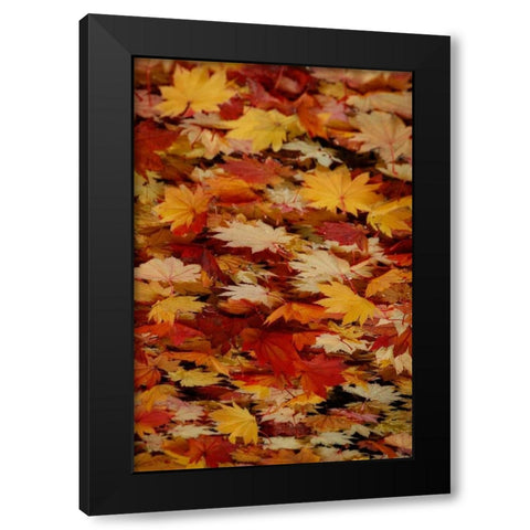 Fall Mandala III Black Modern Wood Framed Art Print by Geyman, Vitaly