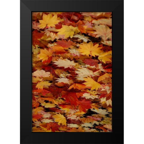 Fall Mandala III Black Modern Wood Framed Art Print by Geyman, Vitaly