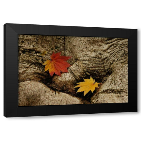 Ancient Beauty Black Modern Wood Framed Art Print by Geyman, Vitaly
