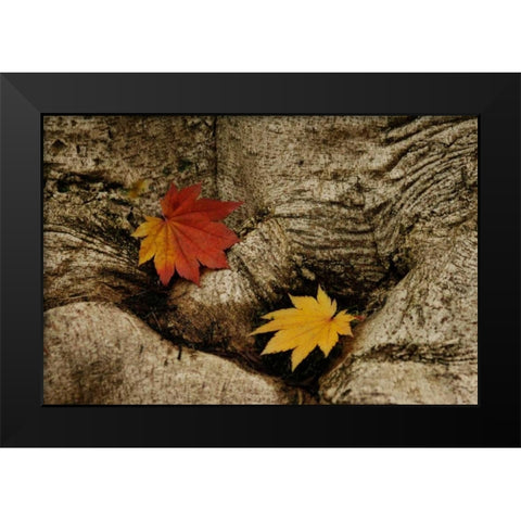 Ancient Beauty Black Modern Wood Framed Art Print by Geyman, Vitaly
