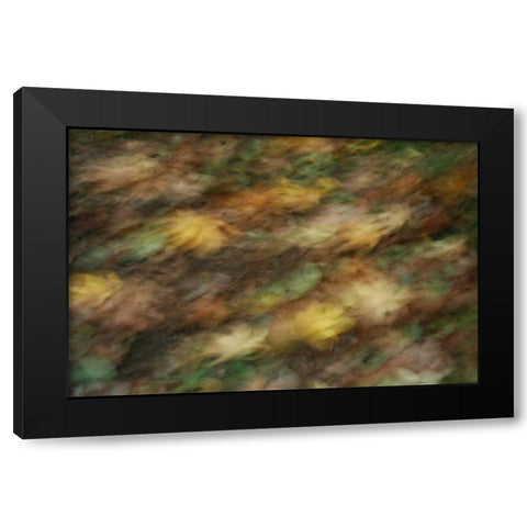 Fall Impressions I Black Modern Wood Framed Art Print by Geyman, Vitaly