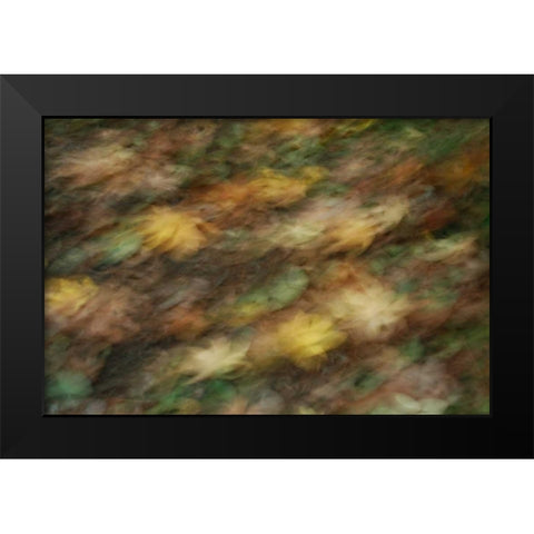 Fall Impressions I Black Modern Wood Framed Art Print by Geyman, Vitaly