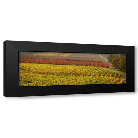 Vineyard Black Modern Wood Framed Art Print with Double Matting by Geyman, Vitaly