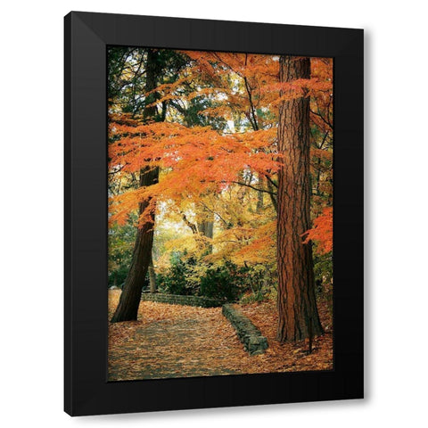 Fall Colors I Black Modern Wood Framed Art Print with Double Matting by Geyman, Vitaly