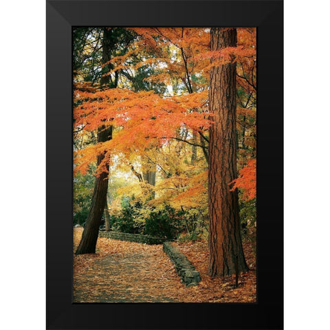 Fall Colors I Black Modern Wood Framed Art Print by Geyman, Vitaly