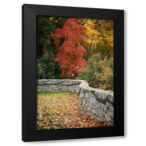 Fall Colors II Black Modern Wood Framed Art Print with Double Matting by Geyman, Vitaly