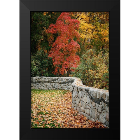 Fall Colors II Black Modern Wood Framed Art Print by Geyman, Vitaly