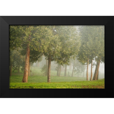 Mystic Woods I Black Modern Wood Framed Art Print by Geyman, Vitaly