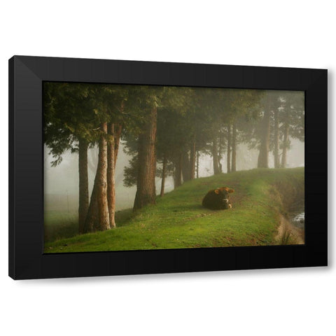 Mystic Woods II Black Modern Wood Framed Art Print with Double Matting by Geyman, Vitaly