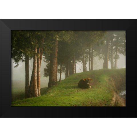 Mystic Woods II Black Modern Wood Framed Art Print by Geyman, Vitaly