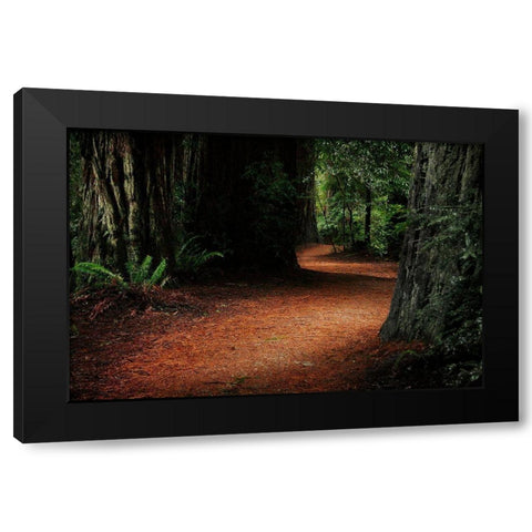 Redwood Mystery Black Modern Wood Framed Art Print with Double Matting by Geyman, Vitaly