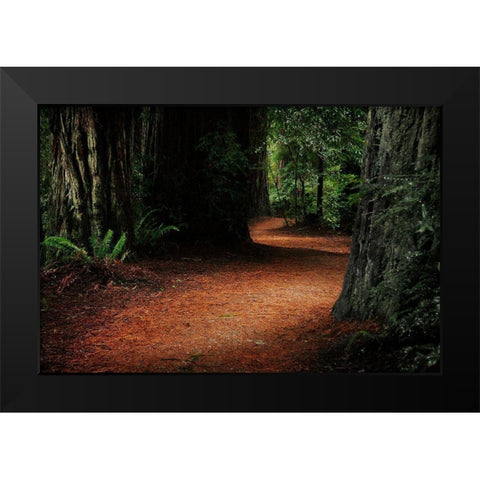 Redwood Mystery Black Modern Wood Framed Art Print by Geyman, Vitaly