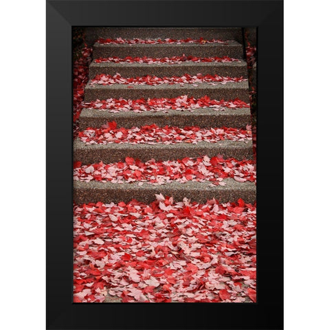 Red Carpet I Black Modern Wood Framed Art Print by Geyman, Vitaly