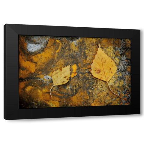 Curb Leaves Black Modern Wood Framed Art Print with Double Matting by Geyman, Vitaly