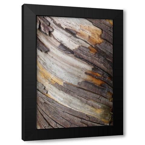 Bark Art I Black Modern Wood Framed Art Print by Geyman, Vitaly