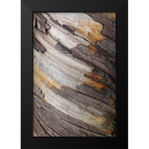 Bark Art I Black Modern Wood Framed Art Print by Geyman, Vitaly