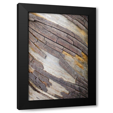 Bark Art II Black Modern Wood Framed Art Print by Geyman, Vitaly