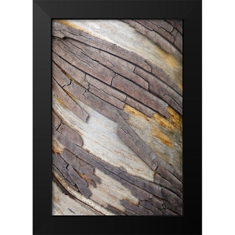 Bark Art II Black Modern Wood Framed Art Print by Geyman, Vitaly