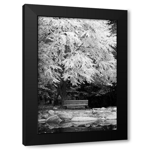 Silver Fall I Black Modern Wood Framed Art Print with Double Matting by Geyman, Vitaly