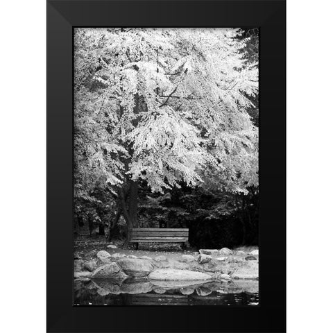 Silver Fall I Black Modern Wood Framed Art Print by Geyman, Vitaly