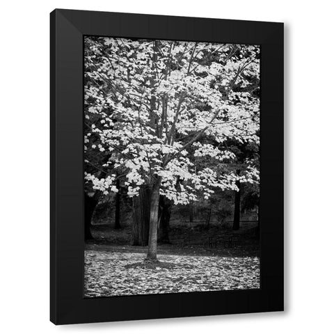 Silver Fall III Black Modern Wood Framed Art Print by Geyman, Vitaly