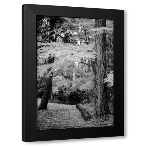 Silver Fall IV Black Modern Wood Framed Art Print with Double Matting by Geyman, Vitaly