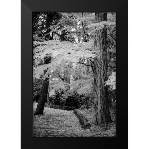 Silver Fall IV Black Modern Wood Framed Art Print by Geyman, Vitaly