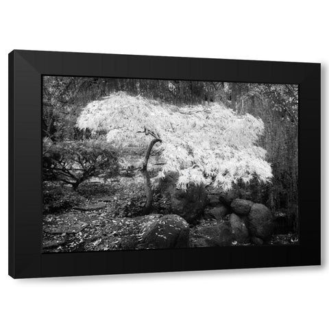 Magic Tree Black Modern Wood Framed Art Print by Geyman, Vitaly