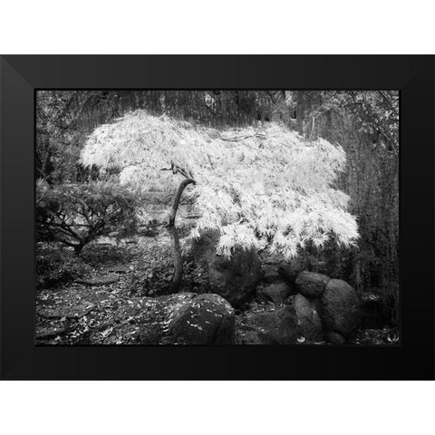Magic Tree Black Modern Wood Framed Art Print by Geyman, Vitaly