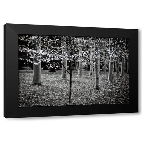 Primadona Black Modern Wood Framed Art Print with Double Matting by Geyman, Vitaly