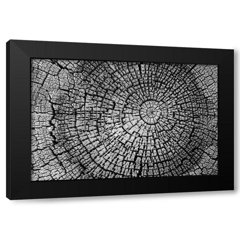 Rings of Life I Black Modern Wood Framed Art Print with Double Matting by Geyman, Vitaly