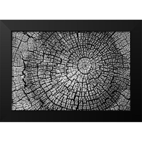 Rings of Life I Black Modern Wood Framed Art Print by Geyman, Vitaly
