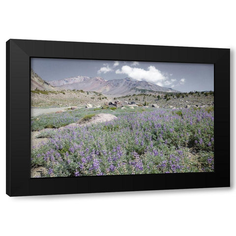 Shasta Majesty II Black Modern Wood Framed Art Print by Geyman, Vitaly