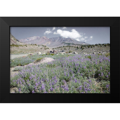 Shasta Majesty II Black Modern Wood Framed Art Print by Geyman, Vitaly