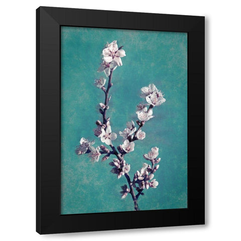 Spring Blossoms on Teal Black Modern Wood Framed Art Print by Geyman, Vitaly