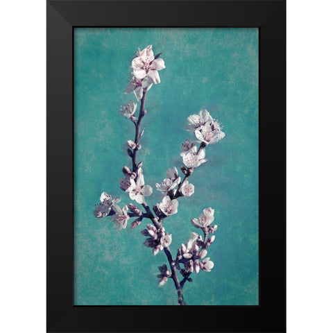 Spring Blossoms on Teal Black Modern Wood Framed Art Print by Geyman, Vitaly