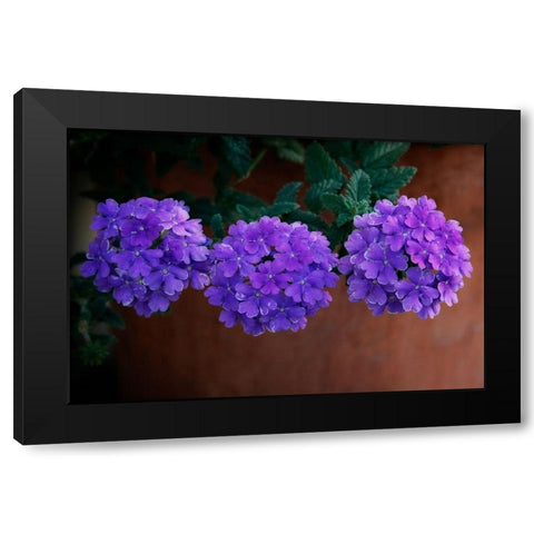 Tri Floral Bouquet Black Modern Wood Framed Art Print by Geyman, Vitaly
