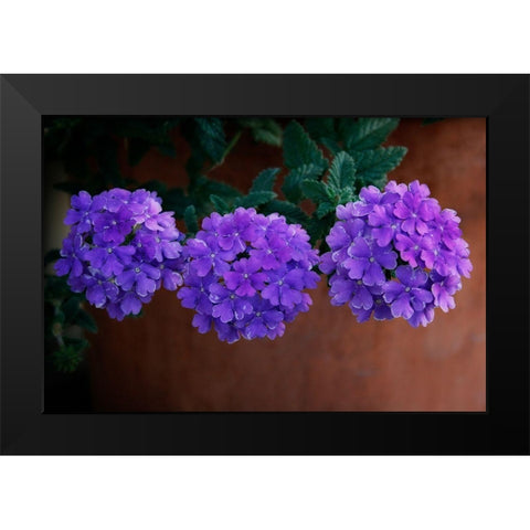 Tri Floral Bouquet Black Modern Wood Framed Art Print by Geyman, Vitaly