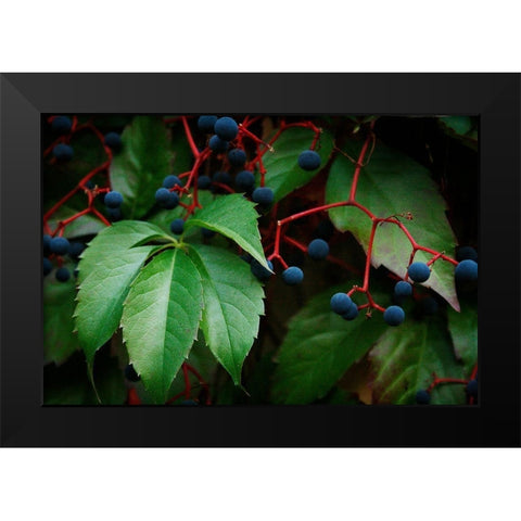 Vinyard Mozaic Black Modern Wood Framed Art Print by Geyman, Vitaly