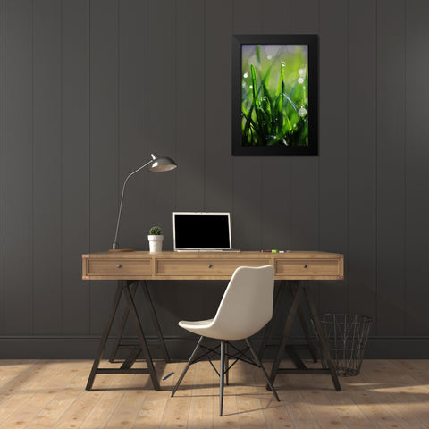 Dew Drops VI Black Modern Wood Framed Art Print by White, Leesa