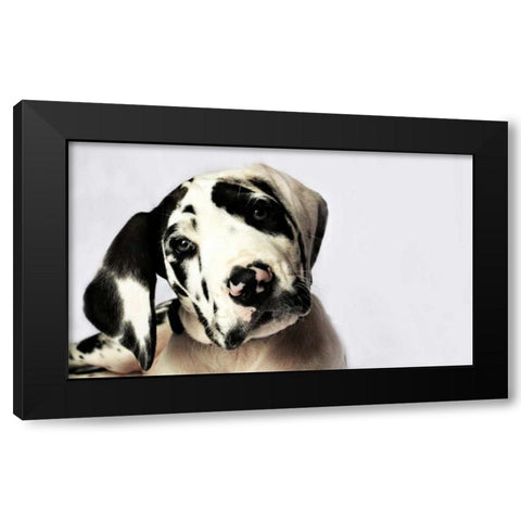 Grace I Black Modern Wood Framed Art Print with Double Matting by White, Leesa