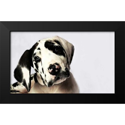 Grace I Black Modern Wood Framed Art Print by White, Leesa
