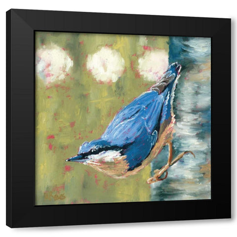 Life Nuthatch Black Modern Wood Framed Art Print with Double Matting by Reeves, Molly